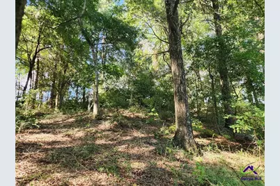 0 Lake Susie Road, Hawkinsville, GA 31036 - Photo 7