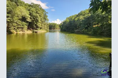 0 Lake Susie Road, Hawkinsville, GA 31036 - Photo 1