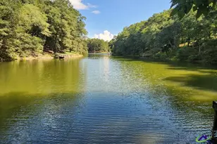 0 Lake Susie Rd, Hawkinsville, GA 31036 - Photo 1
