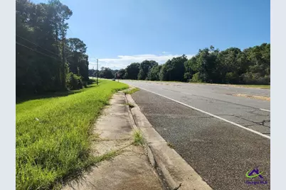 0 Lake Susie Road, Hawkinsville, GA 31036 - Photo 11