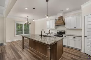 806 Harley Farms, Bonaire, GA 31005 - Photo 13