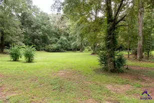 45 Ray Rd, Fort Valley, GA 31030 - Photo 17