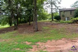 45 Ray Rd, Fort Valley, GA 31030 - Photo 11