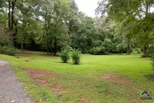 45 Ray Rd, Fort Valley, GA 31030 - Photo 19