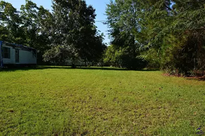 118 Thunder, Hawkinsville, GA 31036 - Photo 9