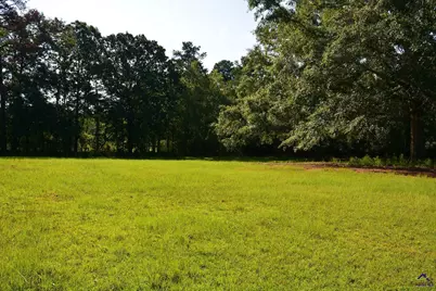 118 Thunder, Hawkinsville, GA 31036 - Photo 31