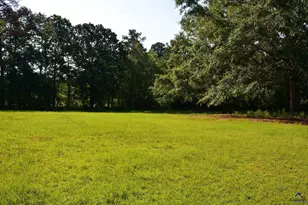 118 Thunder, Hawkinsville, GA 31036 - Photo 31