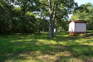 118 Thunder, Hawkinsville, GA 31036 - Photo 49