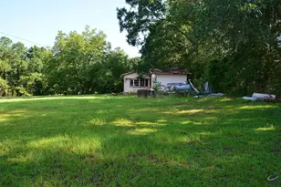 118 Thunder, Hawkinsville, GA 31036 - Photo 15