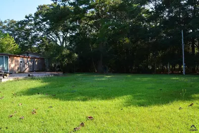 118 Thunder, Hawkinsville, GA 31036 - Photo 5