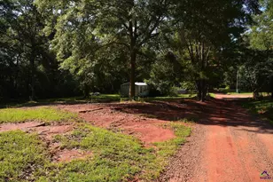 118 Thunder, Hawkinsville, GA 31036 - Photo 51