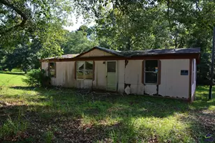 118 Thunder, Hawkinsville, GA 31036 - Photo 45