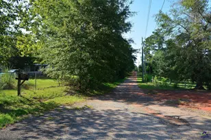 118 Thunder, Hawkinsville, GA 31036 - Photo 7