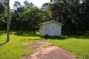 118 Thunder, Hawkinsville, GA 31036 - Photo 35