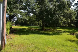 118 Thunder, Hawkinsville, GA 31036 - Photo 37