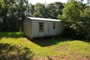 118 Thunder, Hawkinsville, GA 31036 - Photo 53