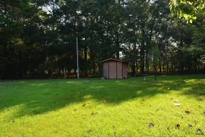 118 Thunder, Hawkinsville, GA 31036 - Photo 3