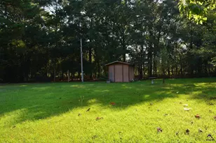 118 Thunder, Hawkinsville, GA 31036 - Photo 3
