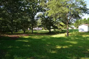 118 Thunder, Hawkinsville, GA 31036 - Photo 41