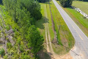1360 Hwy 26, Hawkinsville, GA 31036 - Photo 47