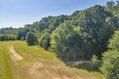 0 Airport, Hawkinsville, GA 31036 - Photo 25