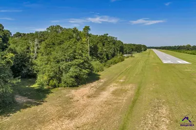 0 Airport, Hawkinsville, GA 31036 - Photo 23