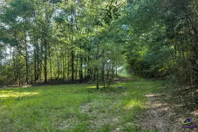 0 Airport, Hawkinsville, GA 31036 - Photo 5