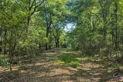 0 Airport, Hawkinsville, GA 31036 - Photo 13