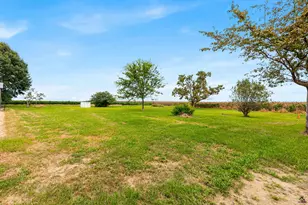323 Rocky Ford Rd, Pinehurst, GA 31070 - Photo 53