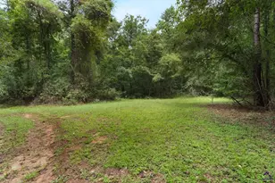 1116 County Line Rd, Elko, GA 31091 - Photo 47