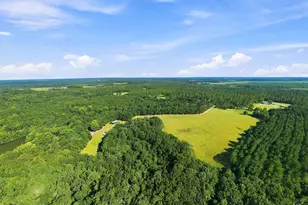 1116 County Line Rd, Elko, GA 31091 - Photo 61