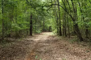 1116 County Line Rd, Elko, GA 31091 - Photo 51