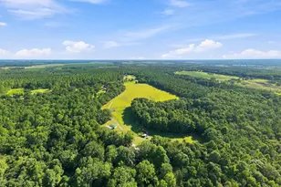 1116 County Line Rd, Elko, GA 31091 - Photo 67