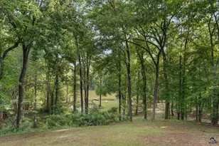 1116 County Line Rd, Elko, GA 31091 - Photo 41