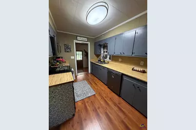 10254 129 Highway, Dry Branch, GA 31001 - Photo 3