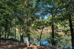 72 River E Rd, Hawkinsville, GA 31036 - Photo 51