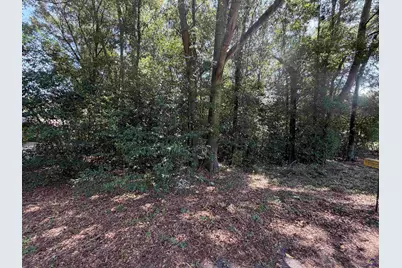 608 Keen Avenue, Oglethorpe, GA 31068 - Photo 67