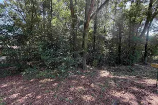 608 Keen Ave, Oglethorpe, GA 31068 - Photo 67