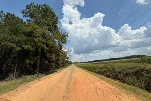 124 N County Line Rd, Elko, GA 31091 - Photo 49