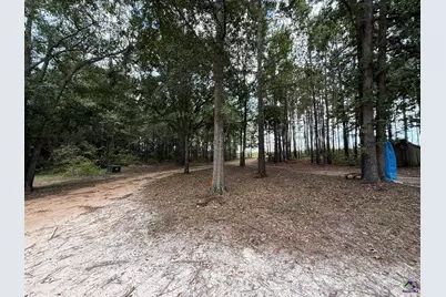 124 N County Line Road, Elko, GA 31091 - Photo 35