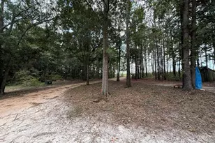 124 N County Line Rd, Elko, GA 31091 - Photo 35