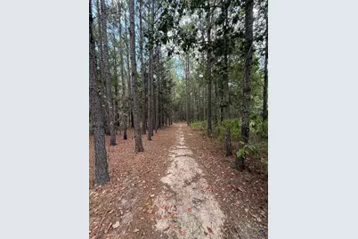 124 N County Line Road, Elko, GA 31091 - Photo 37