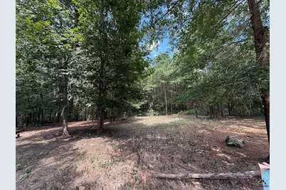 124 N County Line Road, Elko, GA 31091 - Photo 45