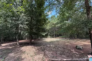 124 N County Line Rd, Elko, GA 31091 - Photo 45
