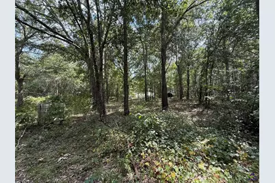 124 N County Line Road, Elko, GA 31091 - Photo 41