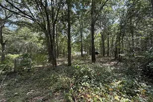 124 N County Line Rd, Elko, GA 31091 - Photo 41