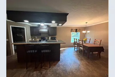 150 Friendship Church Road, Hawkinsville, GA 31036 - Photo 5