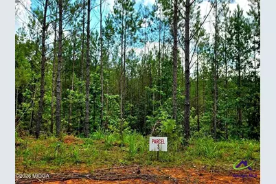 0 Highway 42 S, Forsyth, GA 31029 - Photo 3