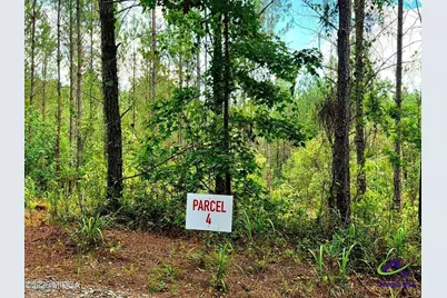 0 Highway 42 S, Forsyth, GA 31029 - Photo 5