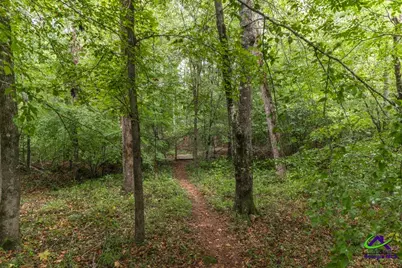 222 Tommys Trail, Forsyth, GA 31029 - Photo 33